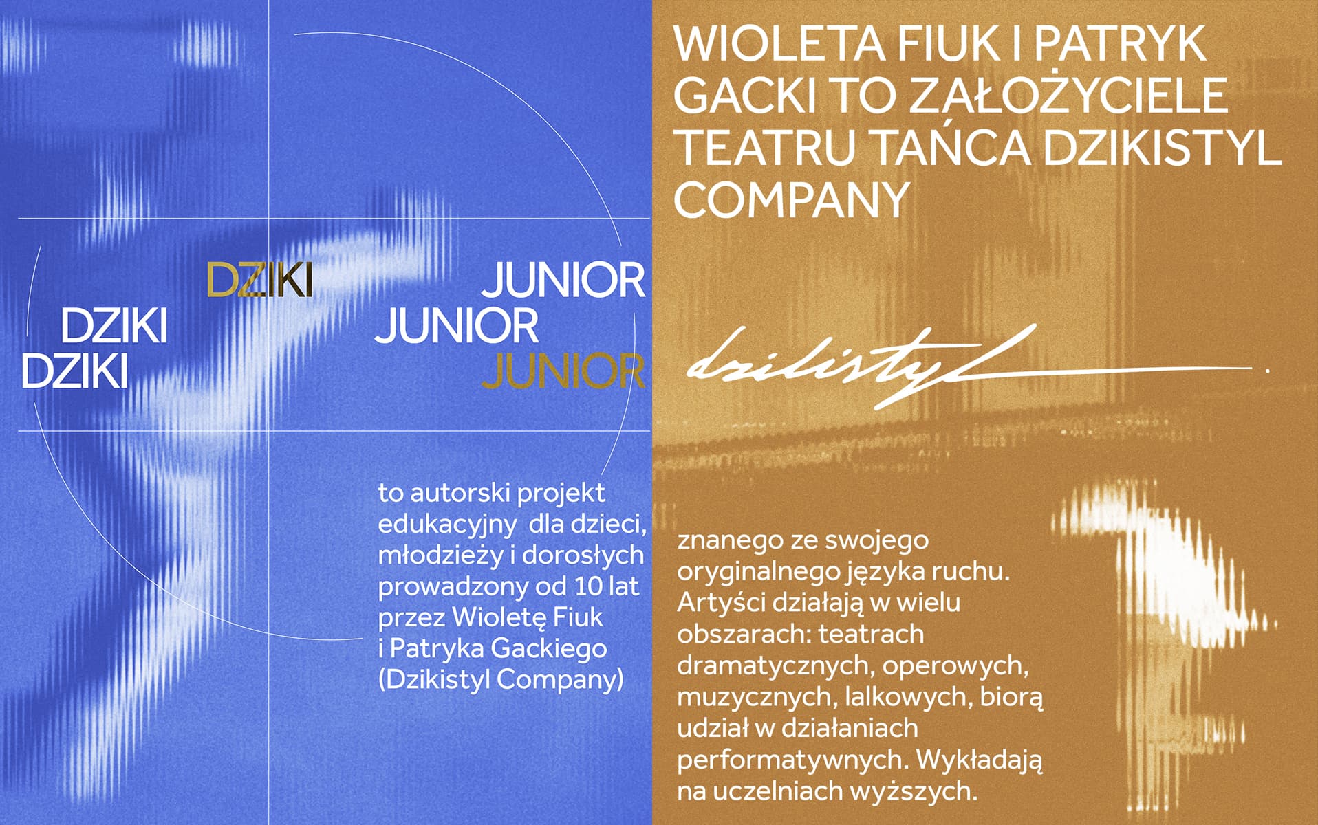 dziki1